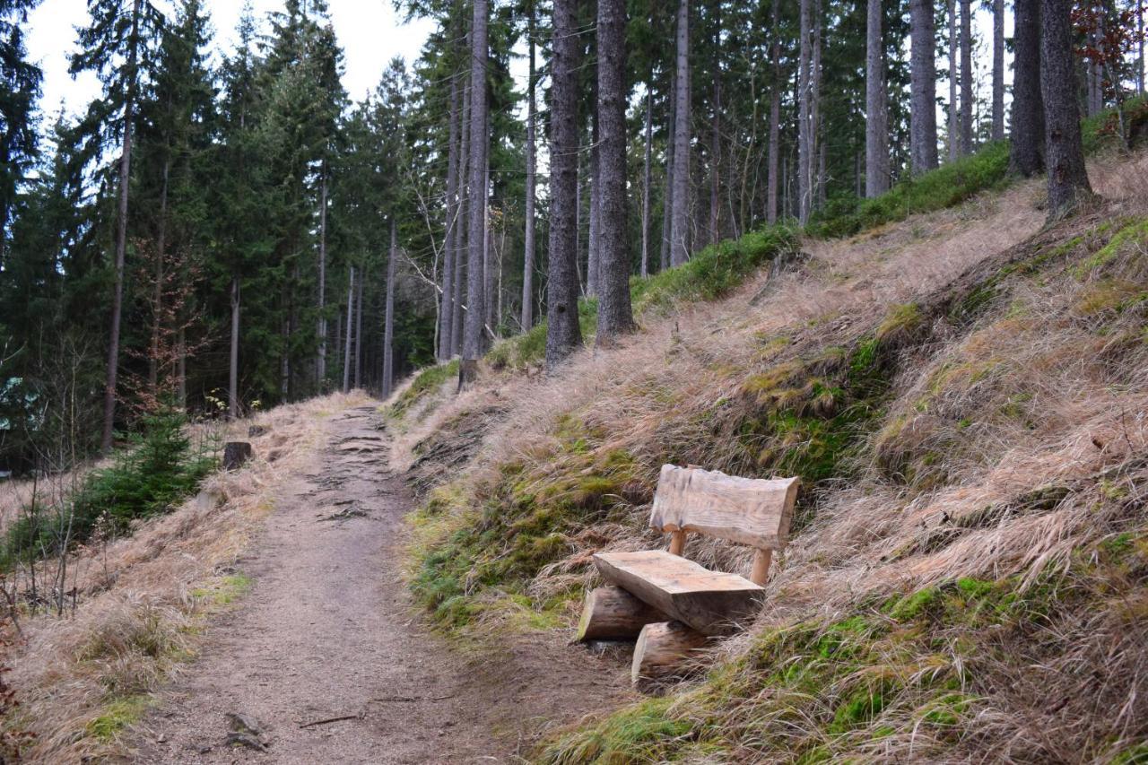 Grand Harrachov Pension V Centru Eksteriør bilde